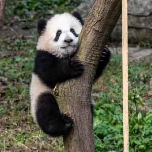 �Ķ���һƪ��