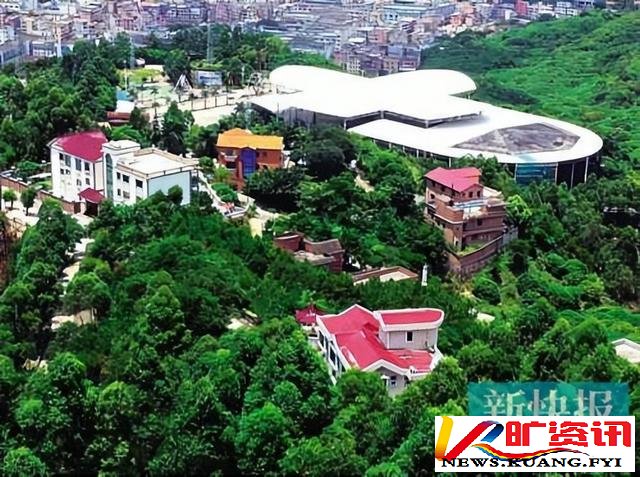 ���Ʋ�����ݸ����ҵ��Ϊ�γ��ڴ�ѹ����ɽ����